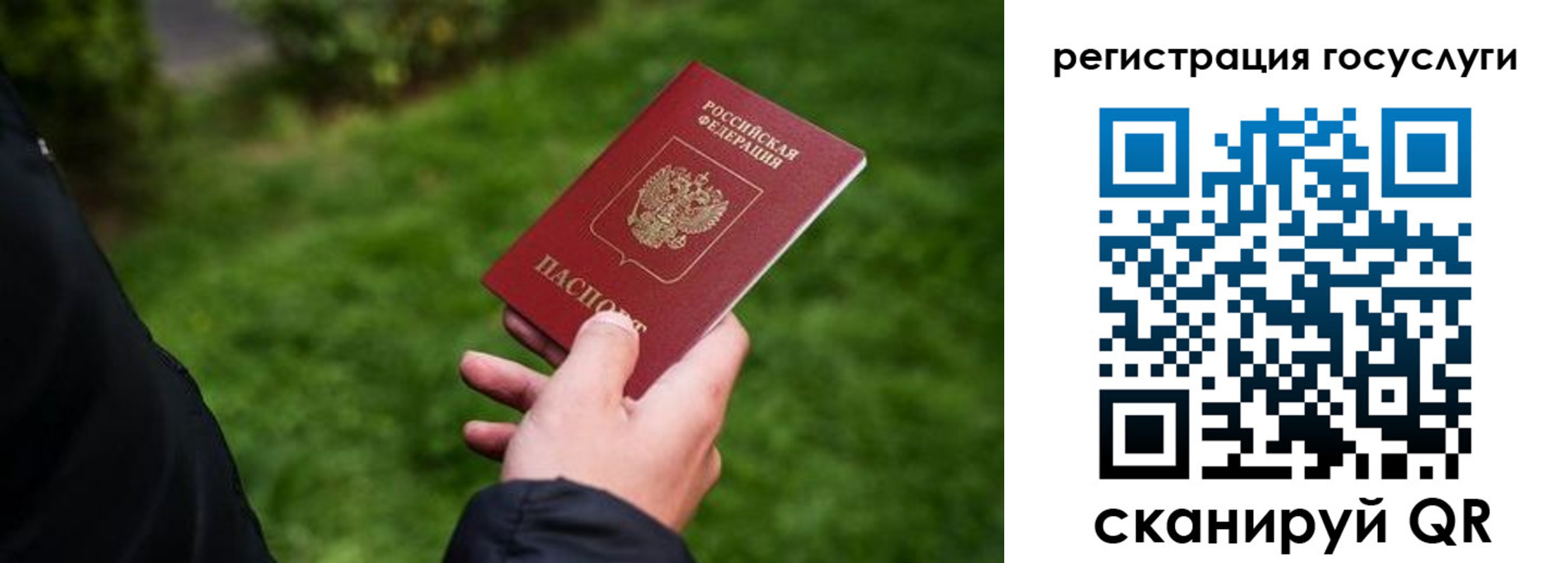 прописка в Сегеже
